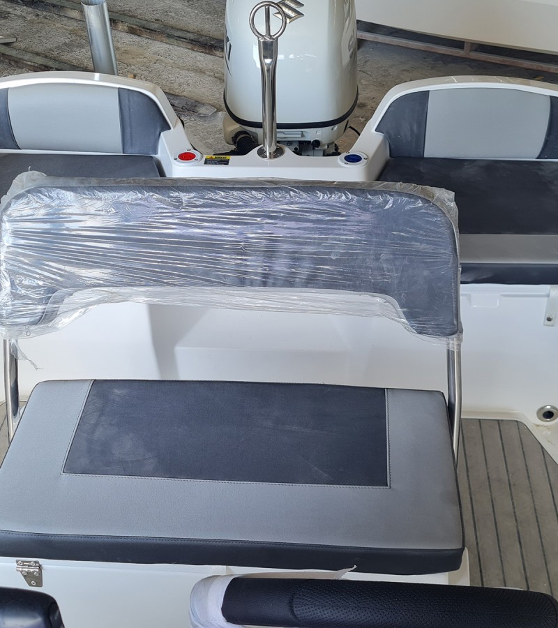 Viyaboat Teodora 5.90